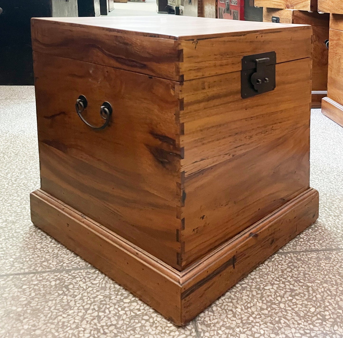 Vintage Asia Truhe Kiste Box aus Kampferholz - Art. CHEST-01