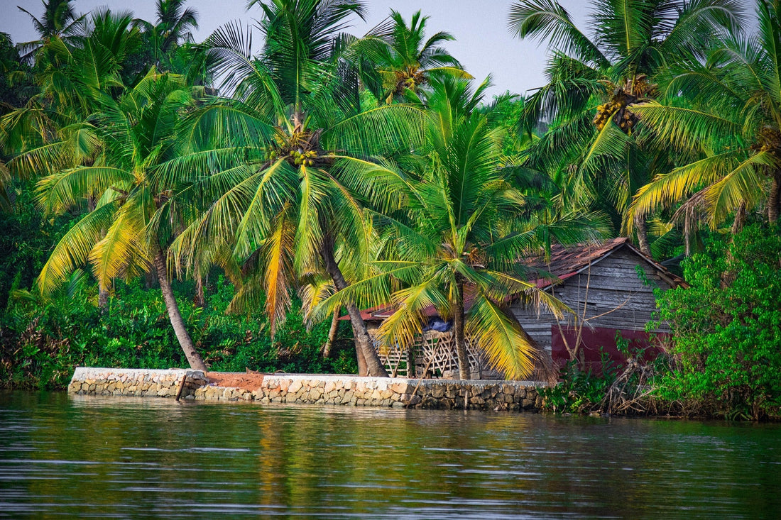 Die Backwaters in Kerala - Zeitloses Naturparadies