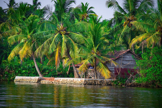 Die Backwaters in Kerala - Zeitloses Naturparadies