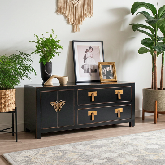Vintage Asia TV Cabinet Sideboard Lowboard Black - Art. TV273/black